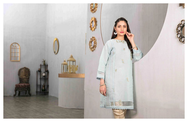 Stitched Fancy Embroidered Organza Kurti